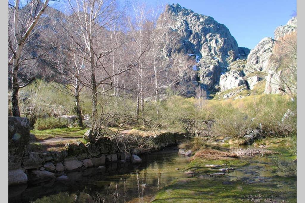 Casa Oeste Sabugueiro  Zewnętrze zdjęcie